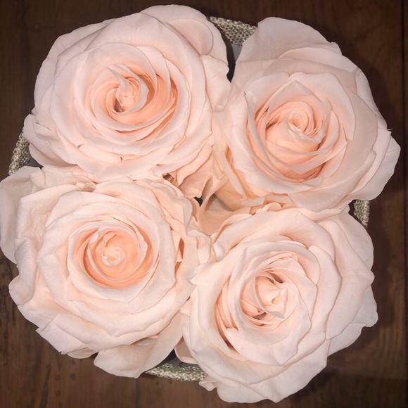 FOREVER ROSES - Picture 2 of 2